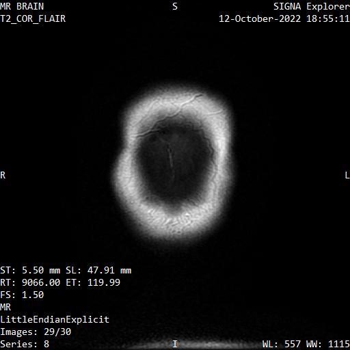 Series 008 image 29