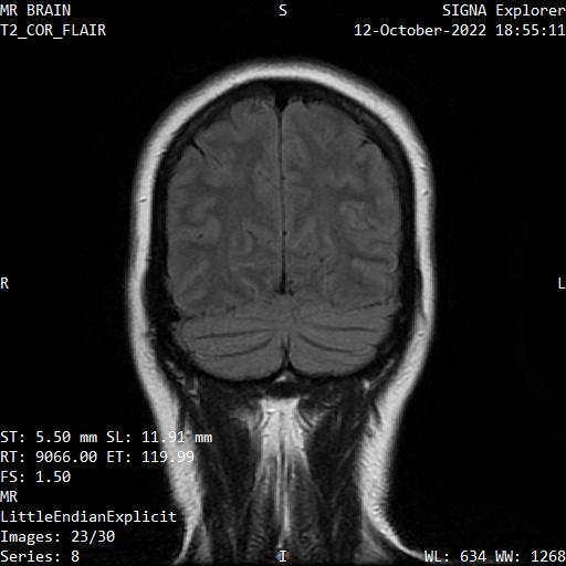 Series 008 image 23