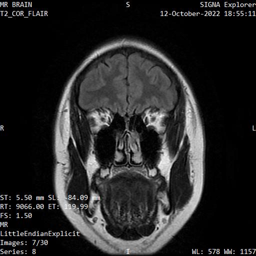 Series 008 image 7