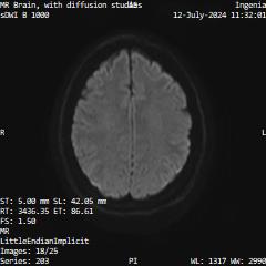 Series 203 image 18