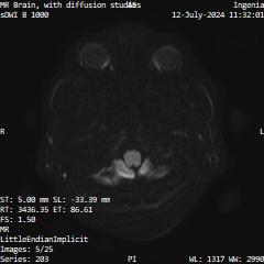 Series 203 image 5