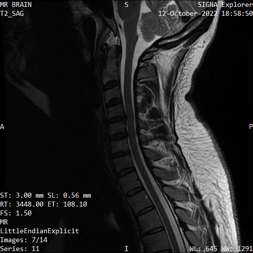 Series 011 image 7