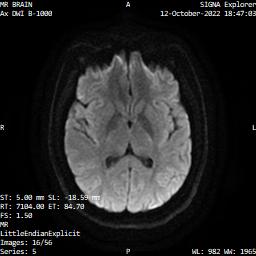 Series 005 image 16