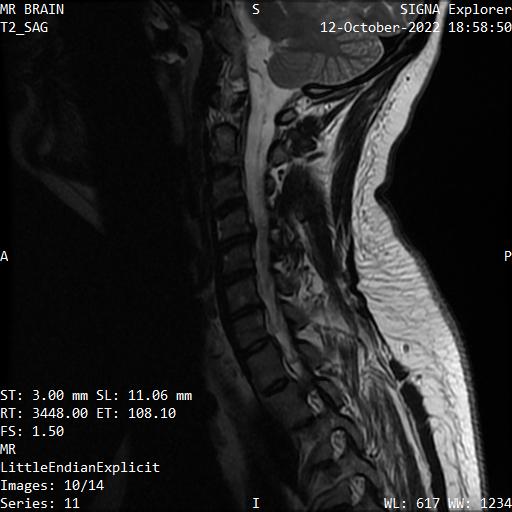 Series 011 image 10