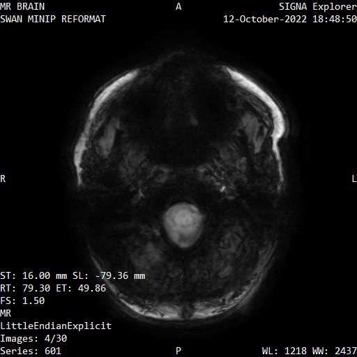 Series 601 image 4