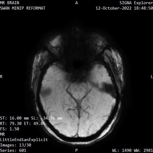 Series 601 image 13