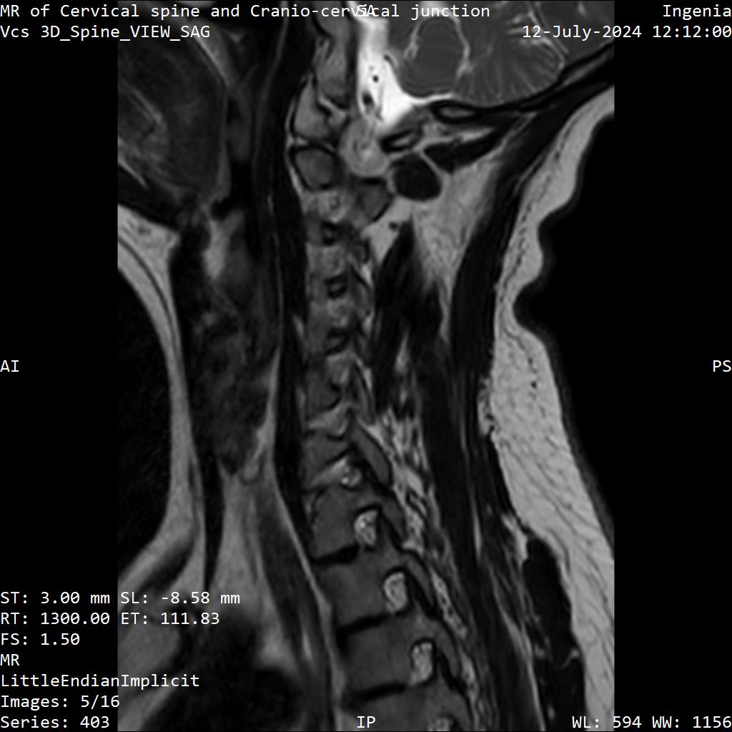 Series 403 image 5