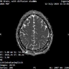 Series 204 image 20