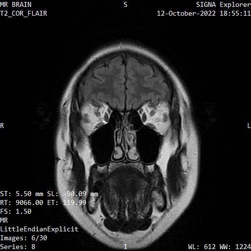 Series 008 image 6