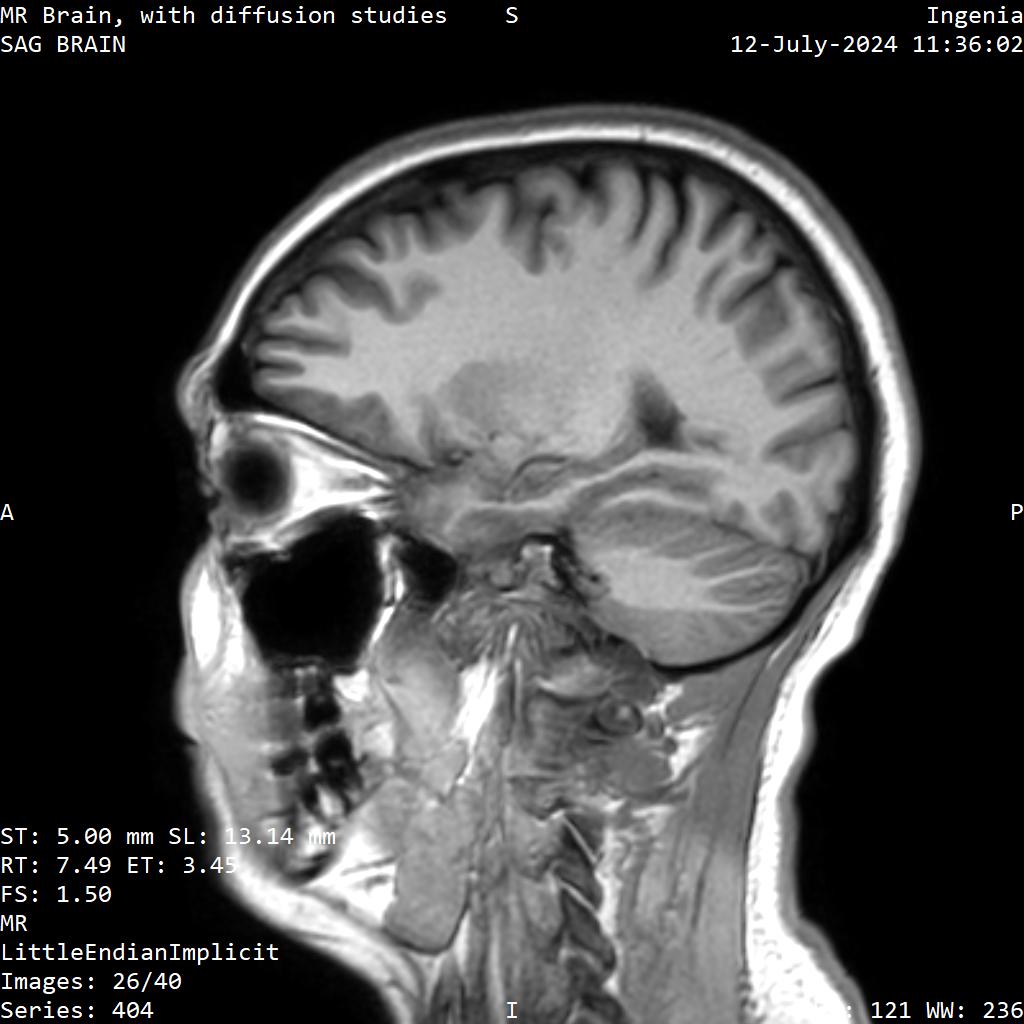 Series 404 image 26