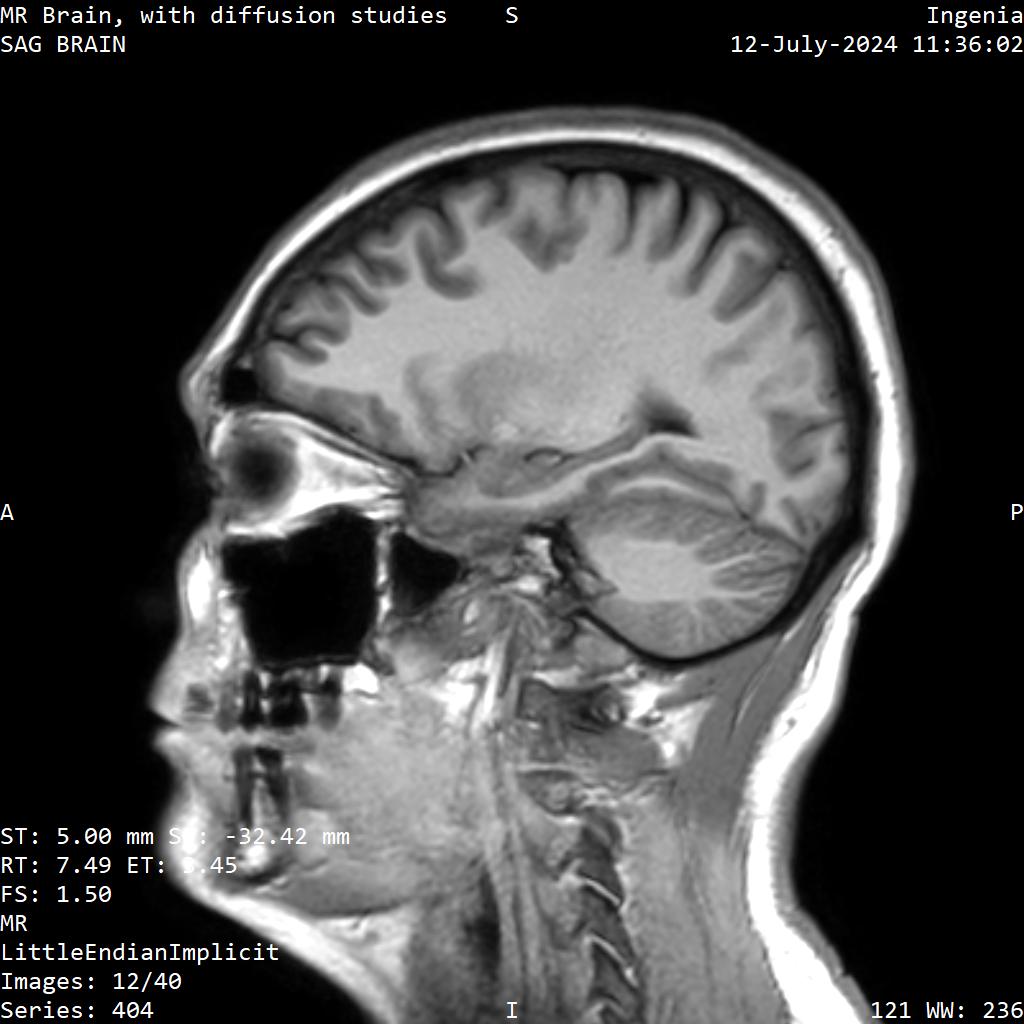 Series 404 image 12