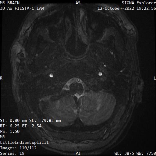 Series 019 image 110
