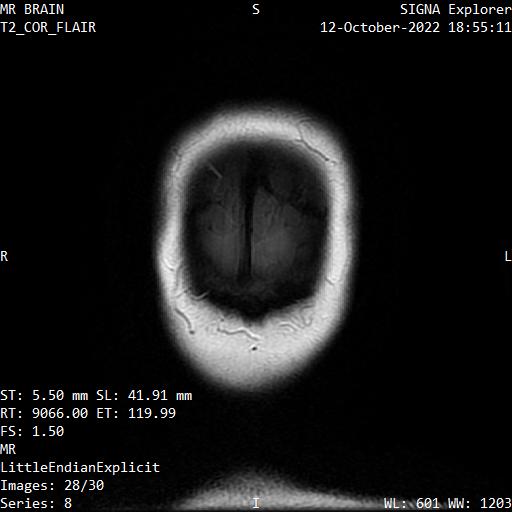 Series 008 image 28