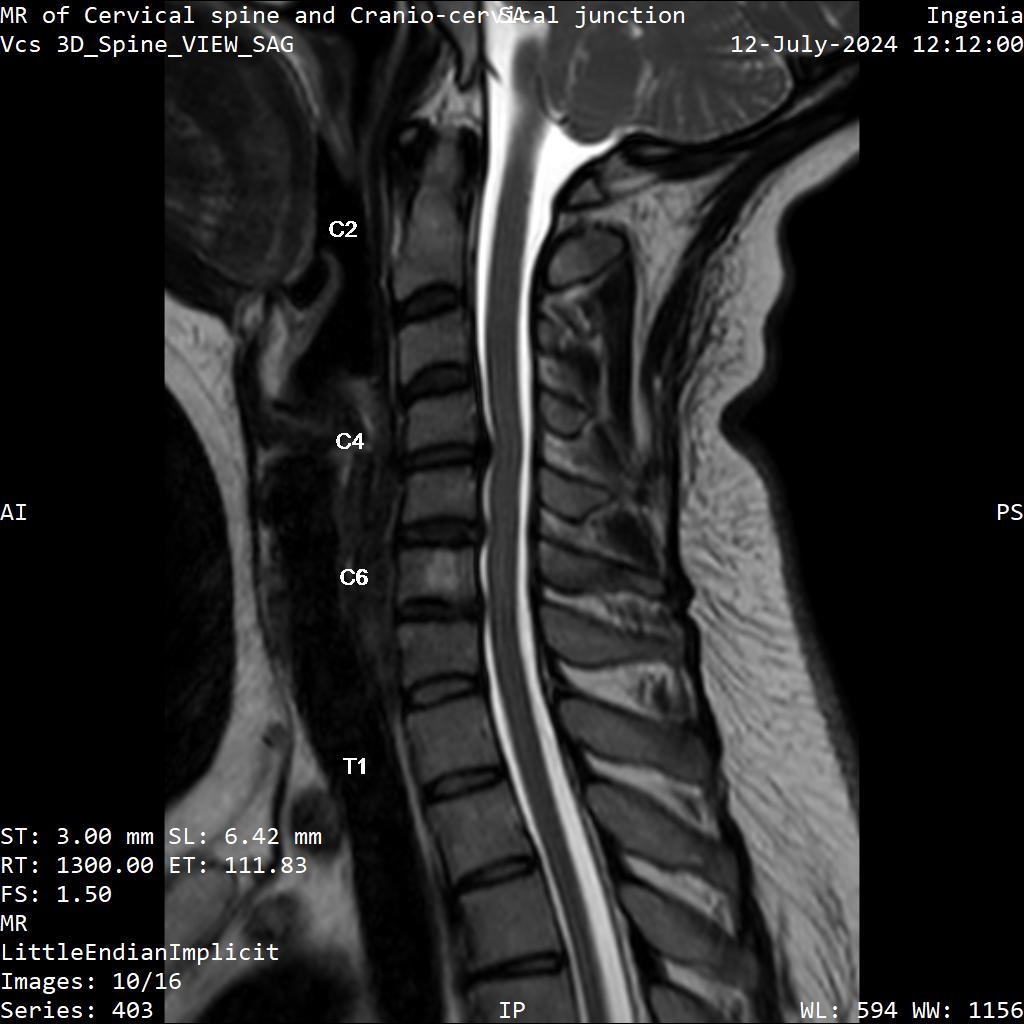 Series 403 image 10