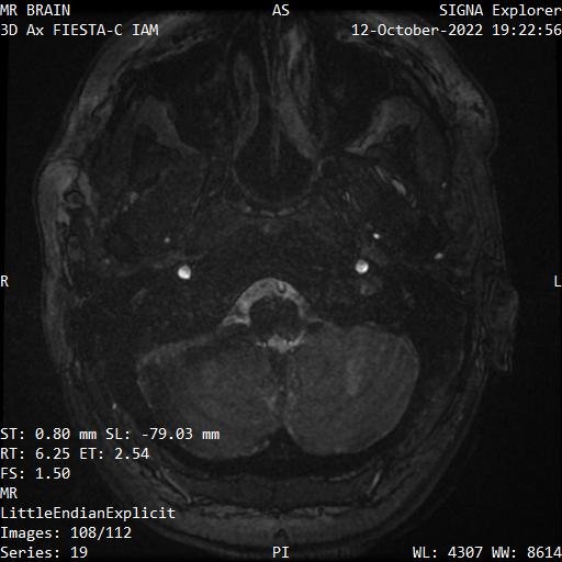 Series 019 image 108