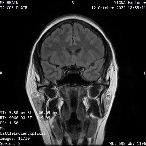 Series 008 image 11