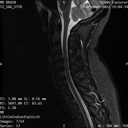 Series 013 image 7