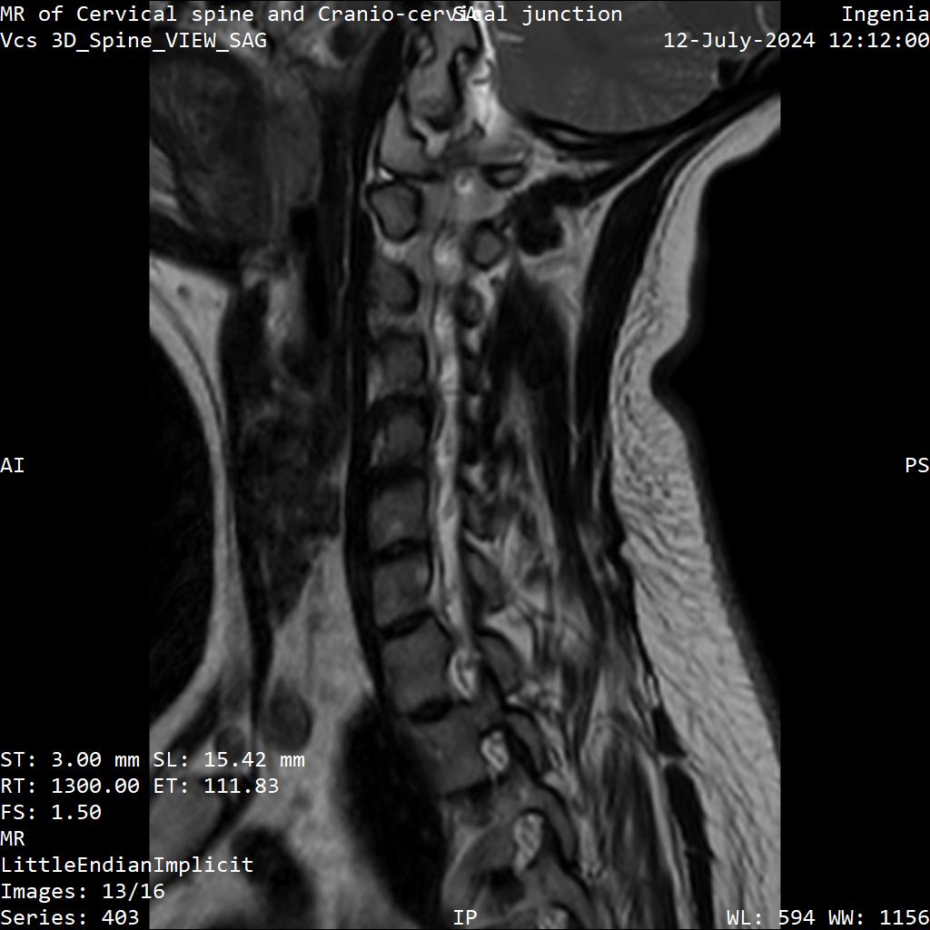 Series 403 image 13