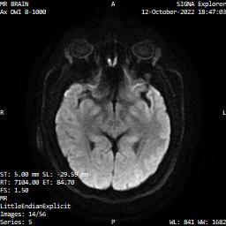 Series 005 image 14