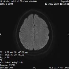 Series 203 image 19