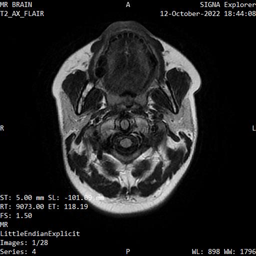 Series 004 image 1