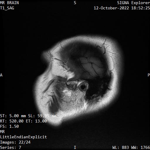 Series 007 image 22