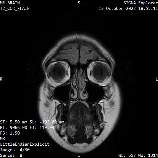 Series 008 image 4