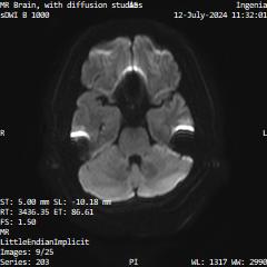 Series 203 image 9