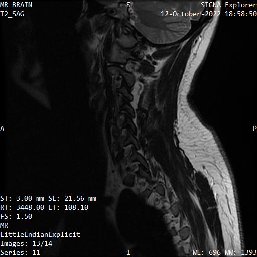 Series 011 image 13