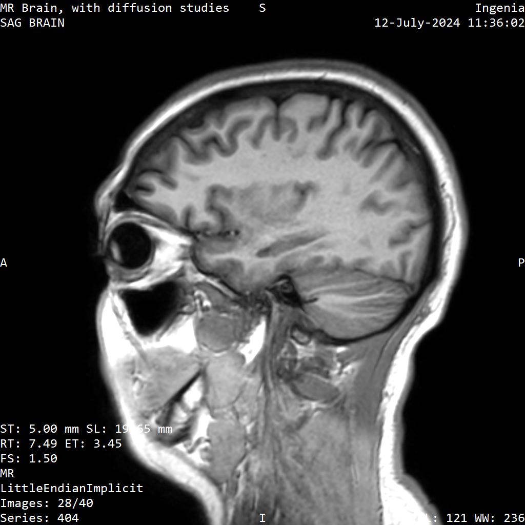Series 404 image 28