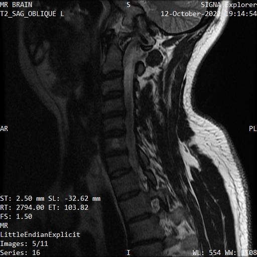 Series 016 image 5