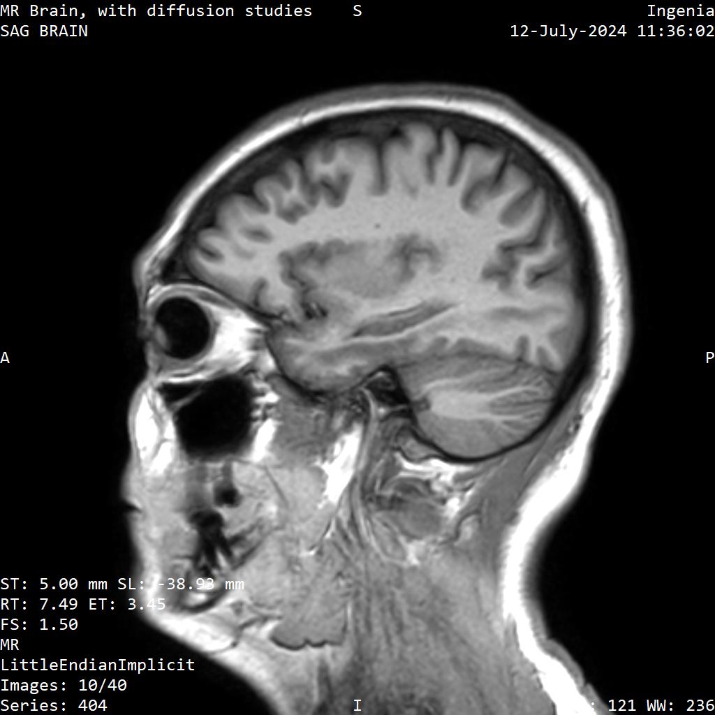 Series 404 image 10