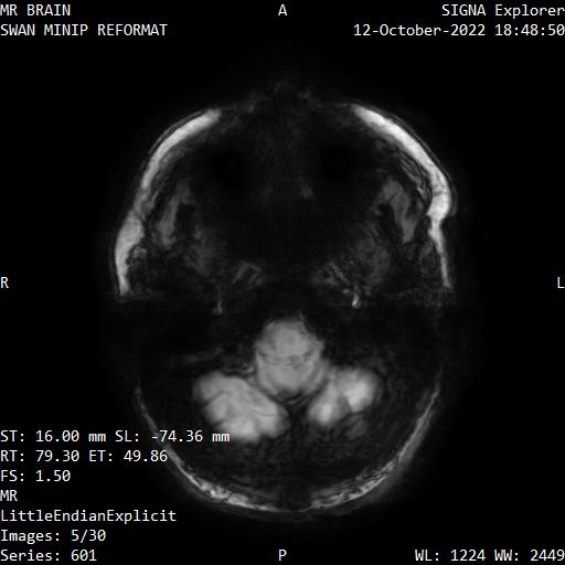 Series 601 image 5