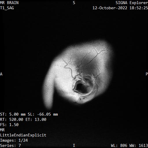 Series 007 image 1