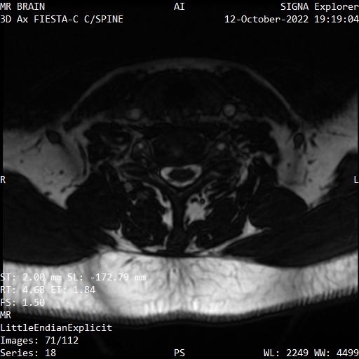 Series 018 image 71