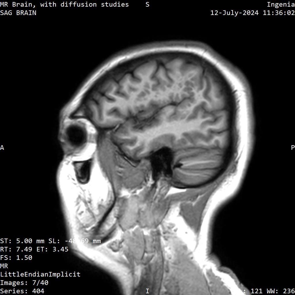 Series 404 image 7