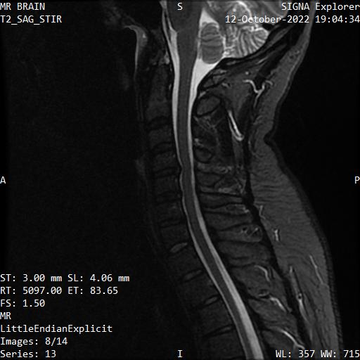 Series 013 image 8
