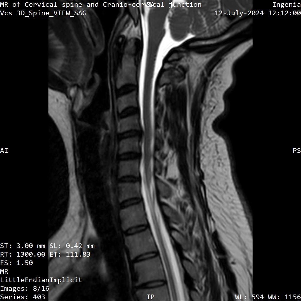 Series 403 image 8