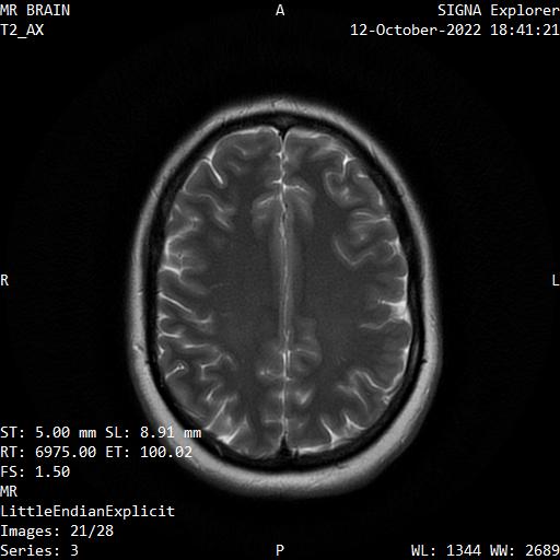 Series 003 image 21