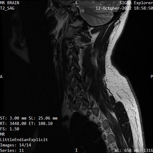 Series 011 image 14