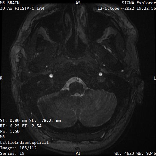 Series 019 image 106