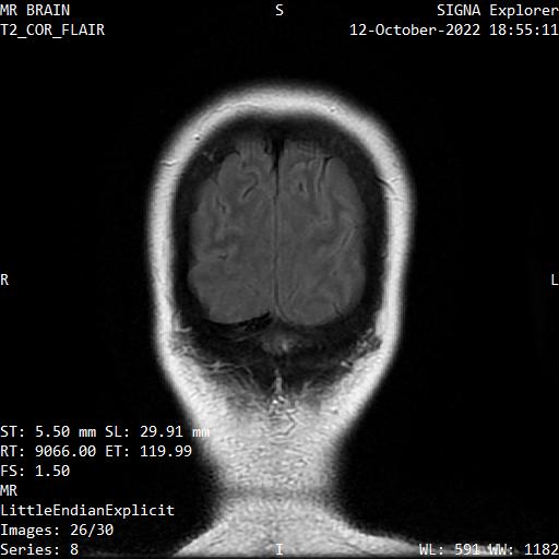 Series 008 image 26