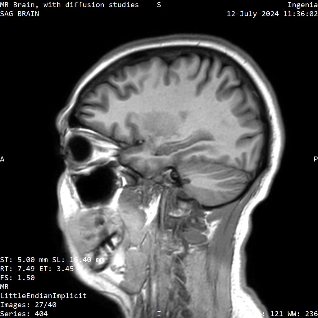 Series 404 image 27