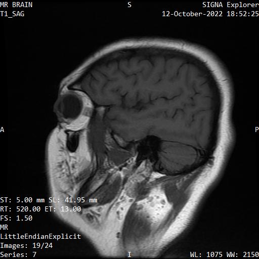 Series 007 image 19