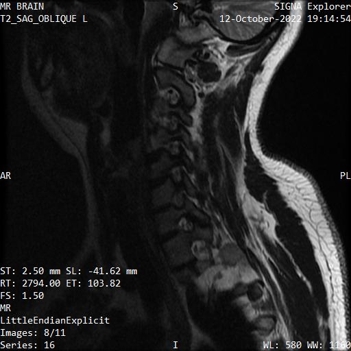 Series 016 image 8