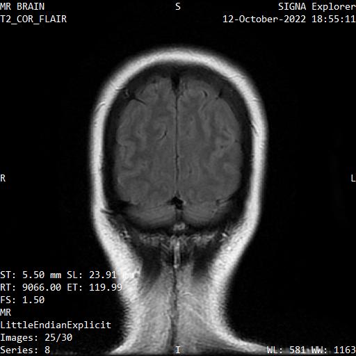 Series 008 image 25