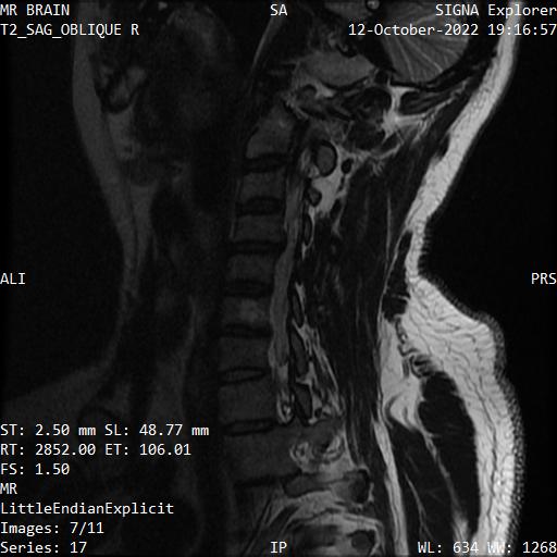 Series 017 image 7