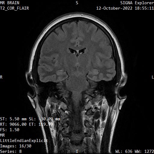 Series 008 image 16