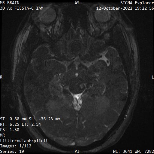 Series 019 image 1