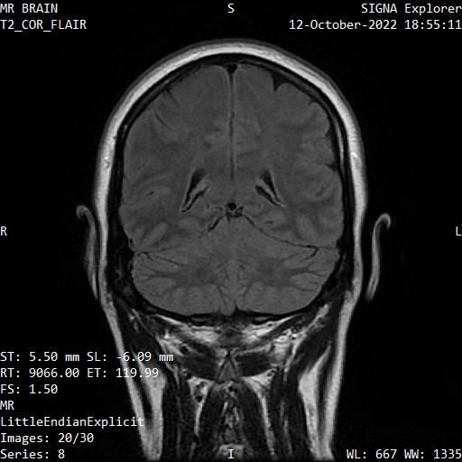 Series 008 image 20